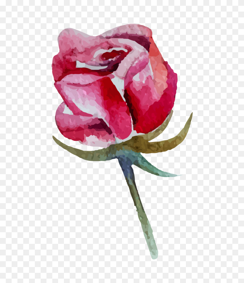 1124x1319 Rod Stewart Announces Details On Latest Album Fm - Watercolor Roses PNG