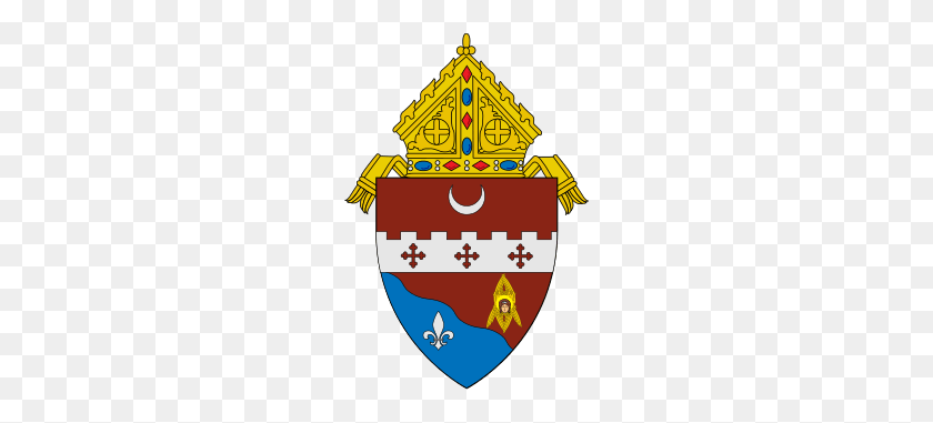 220x321 Roman Catholic Diocese Of Fort Bend - Catholic Priest Clipart