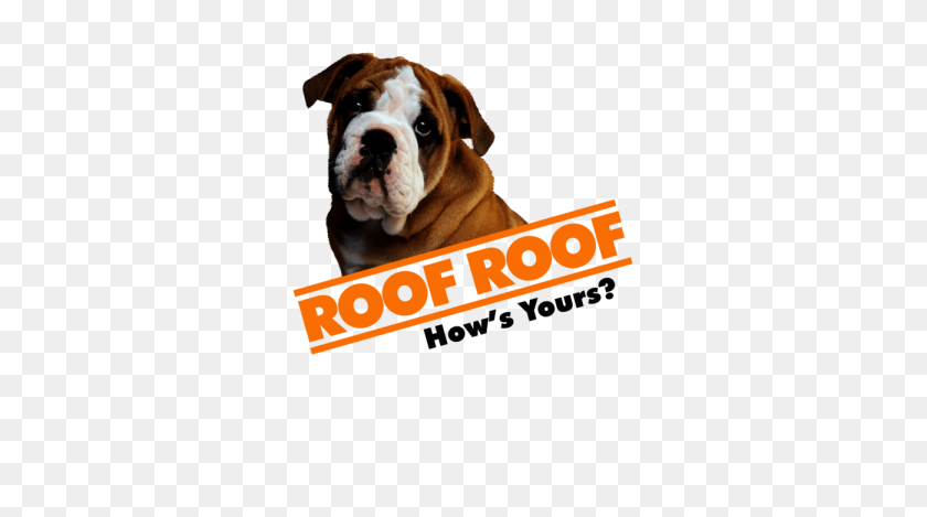 1300x682 Roofing Contractor In Greenville, Sc Roof Repair Replacement - Gabe The Dog PNG