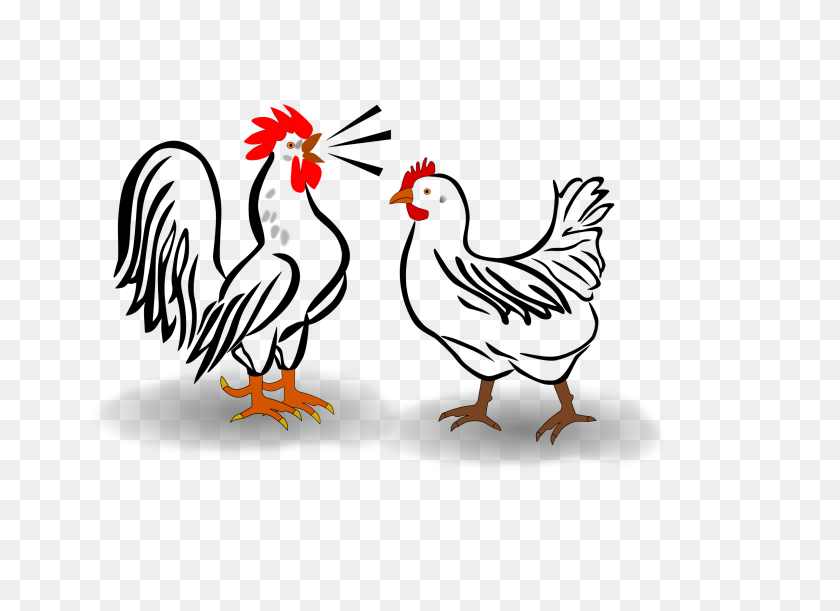 2400x1697 Rooster And Chicken Icons Png - Rooster PNG