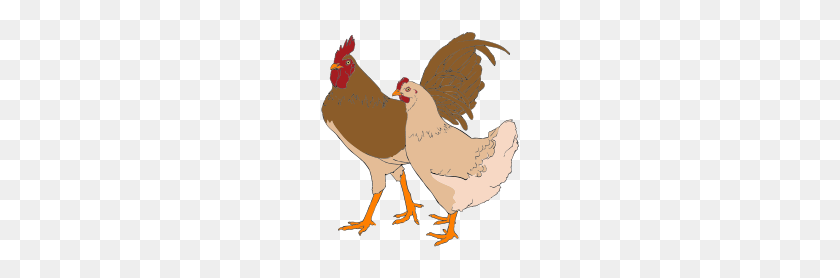 200x218 Rooster And Hen Clipart - Hen PNG