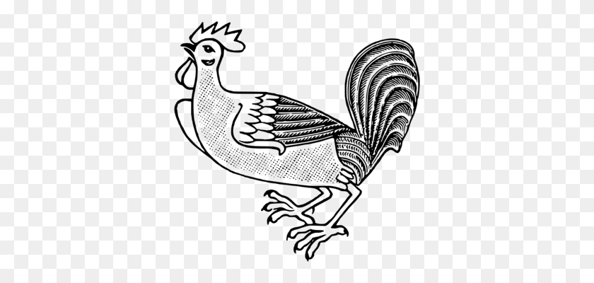 348x340 Rooster Chicken Drawing Landfowl Poultry - Black And White Chicken Clipart