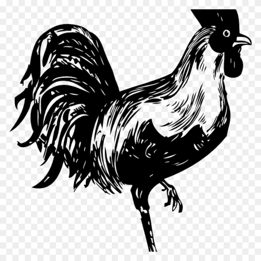 1024x1024 Rooster Clipart Black And White Owl Clipart House Clipart Online - Rooster Images Clip Art