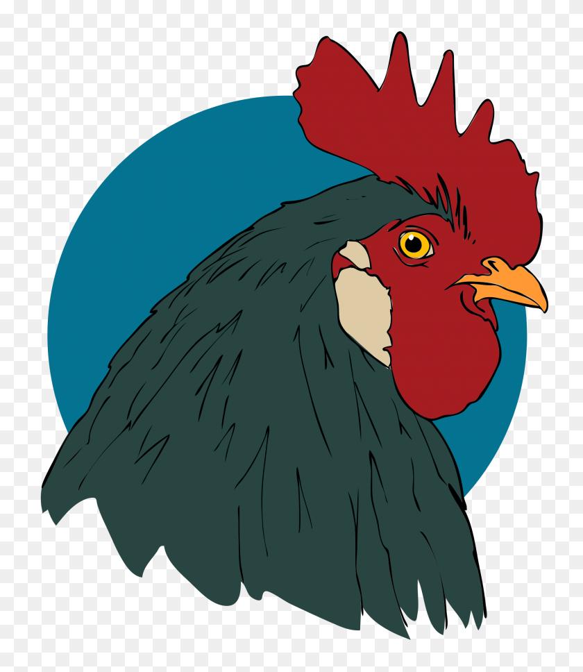 2000x2329 Rooster Closeup - Rooster PNG