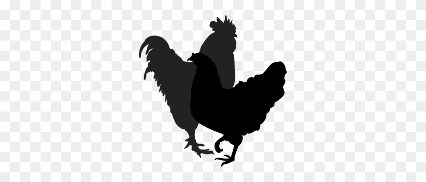 292x299 Gallo Gallina Silueta De Siluetas De Silueta - Pollo Silueta Png