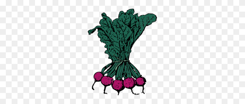 237x298 Root Cabbage Soda Clip Art - Cabbage Clipart