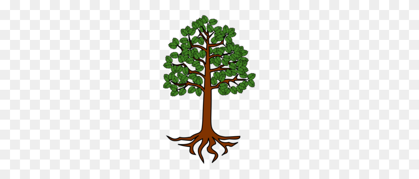 187x299 Roots Clipart - Tree With Roots Clipart Free