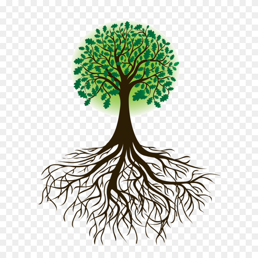 909x910 Roots Clipart Cartoon - Tree With Roots PNG