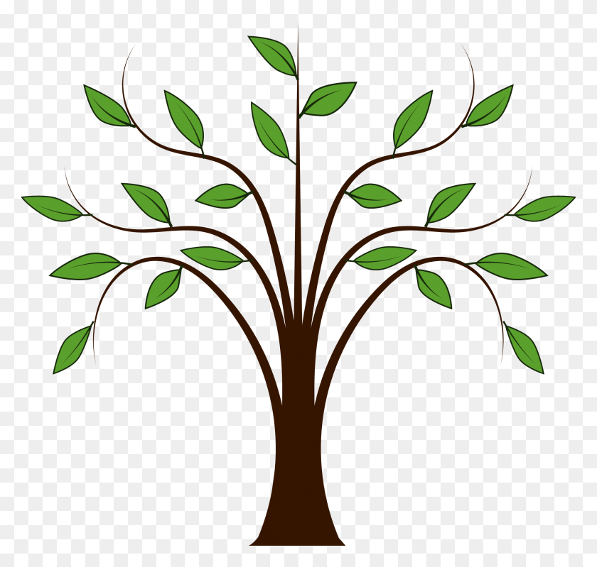 2222x2108 Roots Clipart Elm Tree - Plant With Roots Clipart
