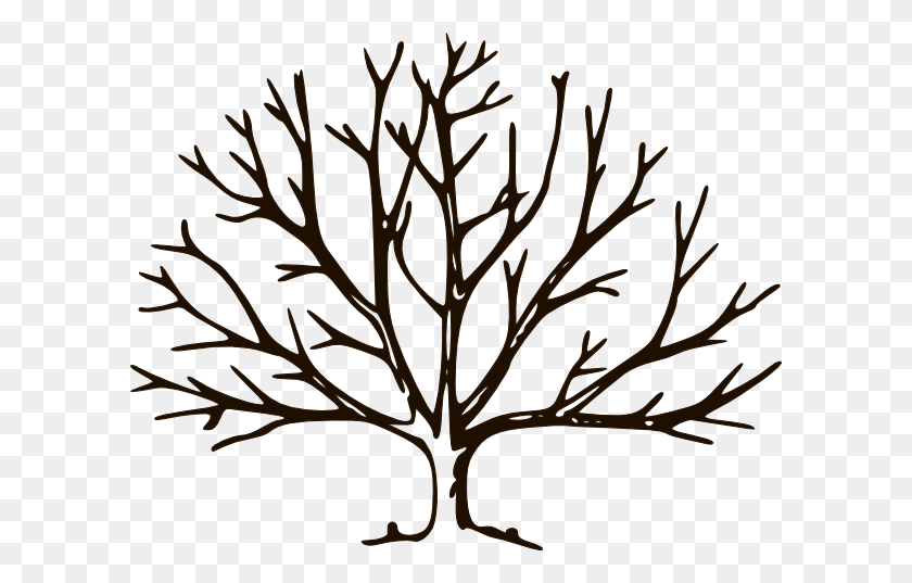 600x477 Корни Клипарт Пустое Дерево - Семейное Древо Клипарт Черный И Белый
