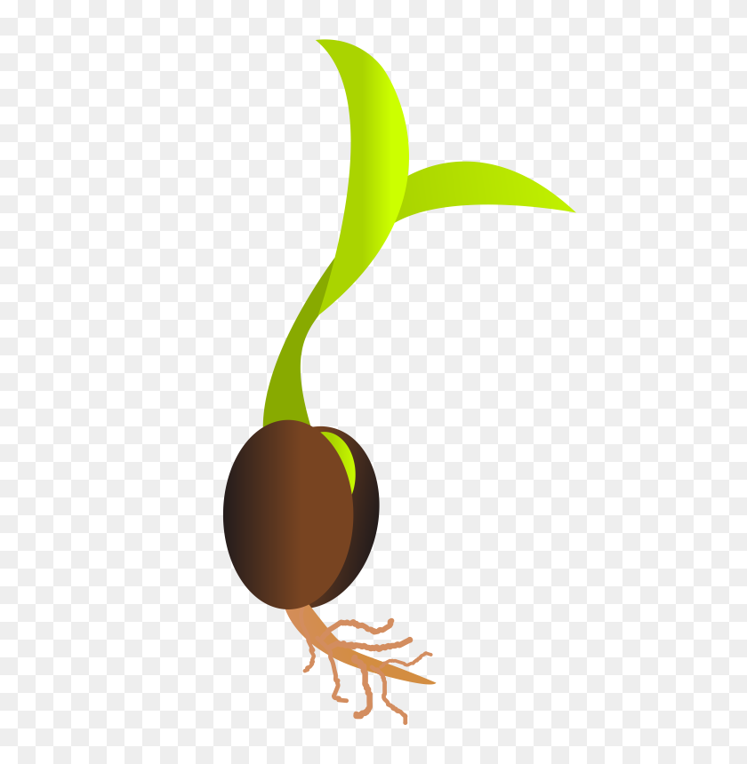 562x800 Roots Clipart Tree Sprout - Plant Roots Clipart