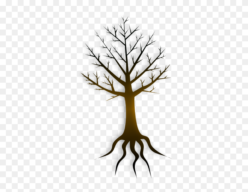 342x590 Roots Clipart Tree Trunk - Tree With Roots PNG