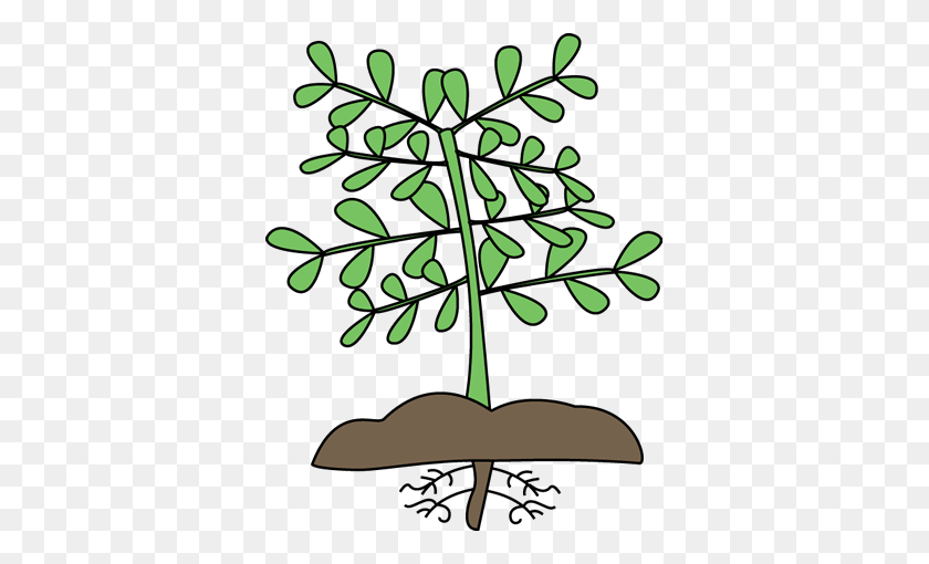 359x450 Roots Cliparts - Tree With Roots Clipart Black And White
