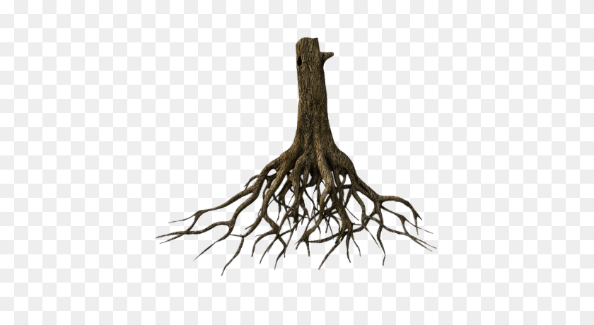 400x400 Roots Transparent Png Images - Root PNG
