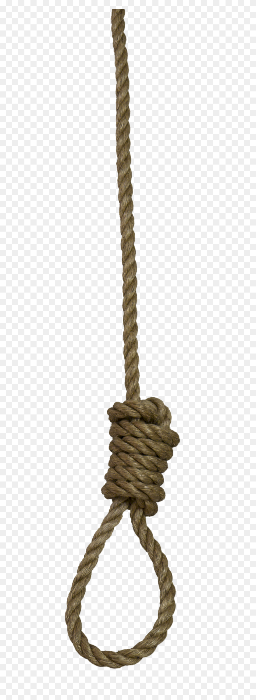 900x2582 Rope Png Images Free Download - Knot PNG