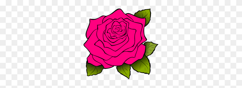 260x248 Rosa Centifolia Clipart - Purple Rose Clipart
