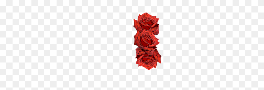 190x228 Rosas, Rosas Rojas, Flores, Flores, Naturaleza, Plantas Por - Rosas Rojas Png