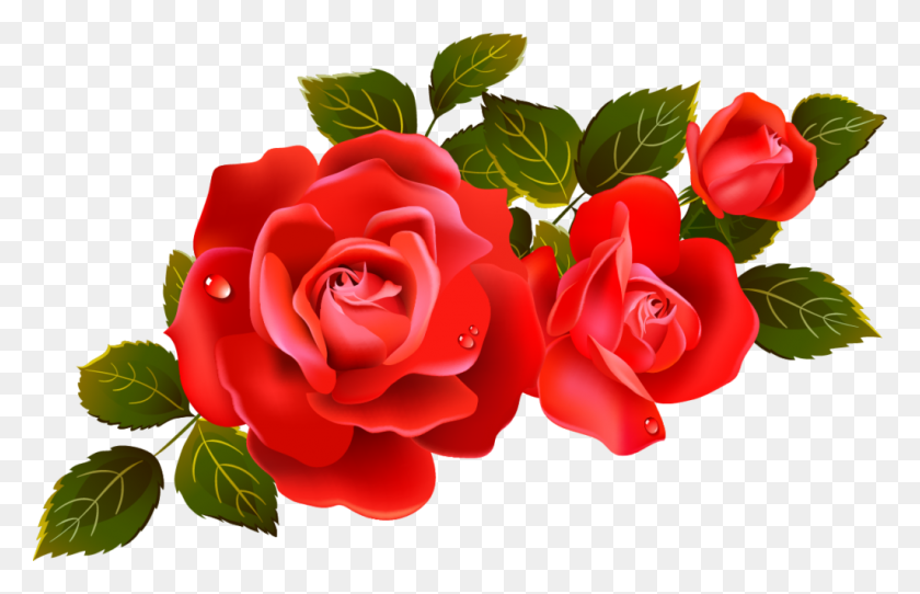 1024x633 Rose - Watercolor Roses PNG