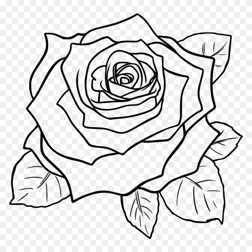 800x800 Rose Black And White White Rose Clip Art - Flower Clipart Black And White