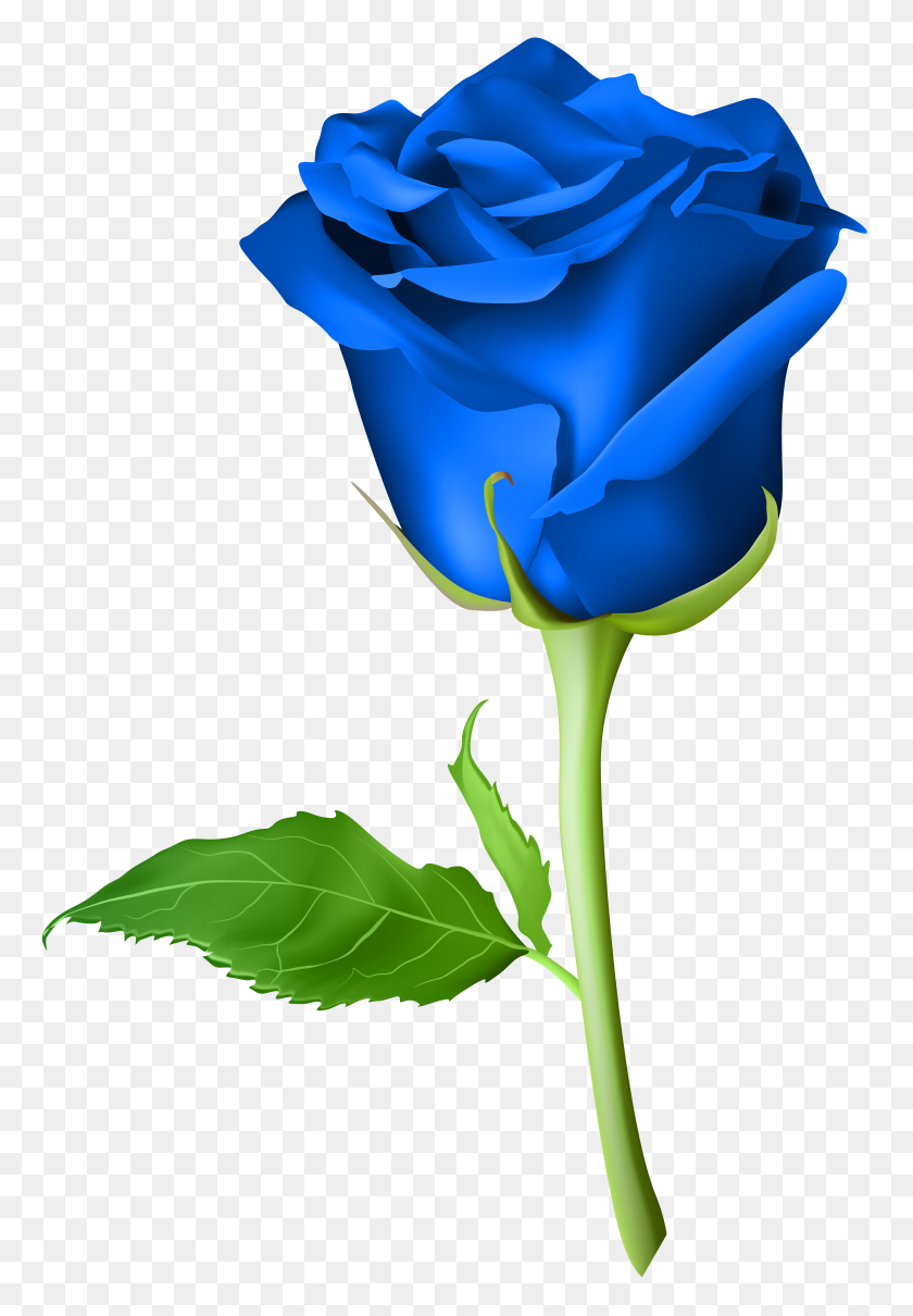 Rose Blue Transparent Png Clip Art Rose Emoji Png Stunning Free Transparent Png Clipart Images Free Download