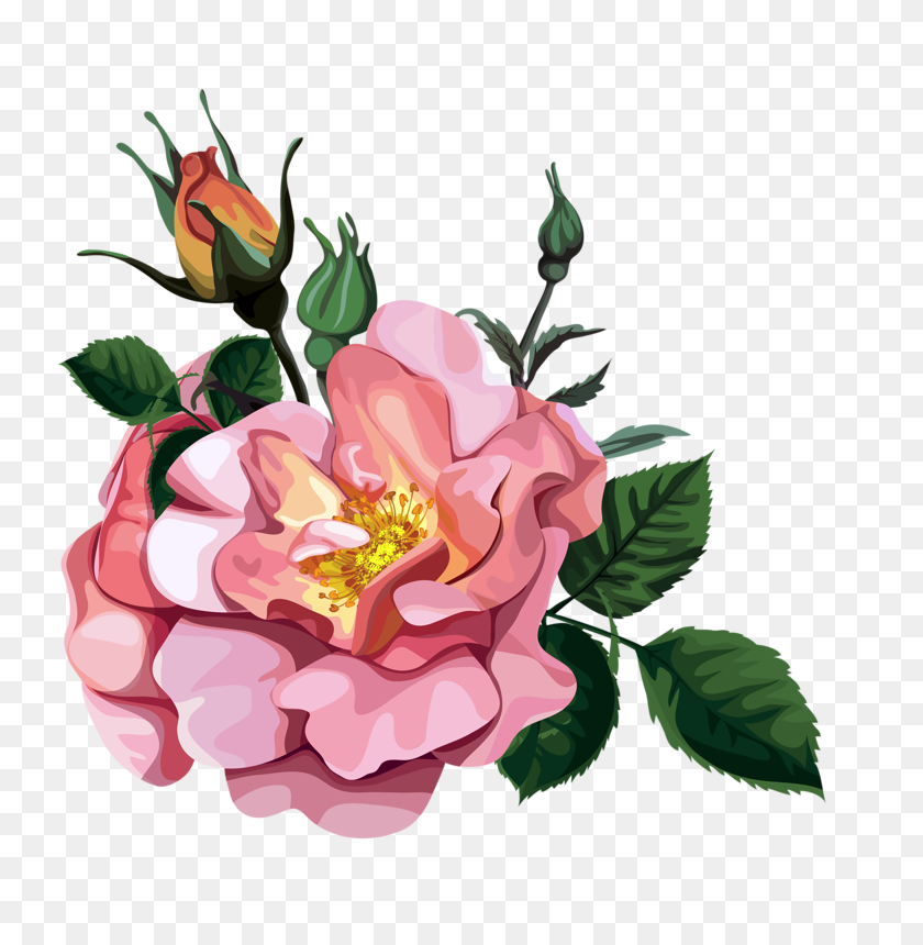Rose Clip Art Transparent Background - Rose Bouquet Clipart - FlyClipart