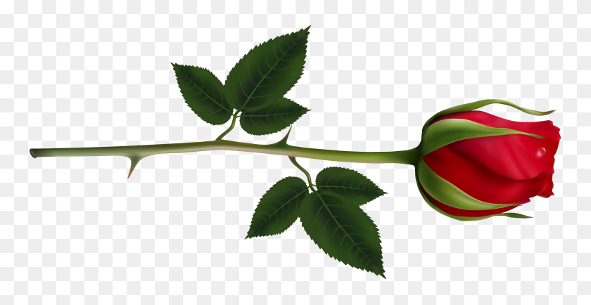 5158x2476 Rose Clipart Rose Tree - Rose Bush Clipart