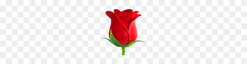 160x160 Rose Emoji On Apple Ios - Rose Emoji PNG