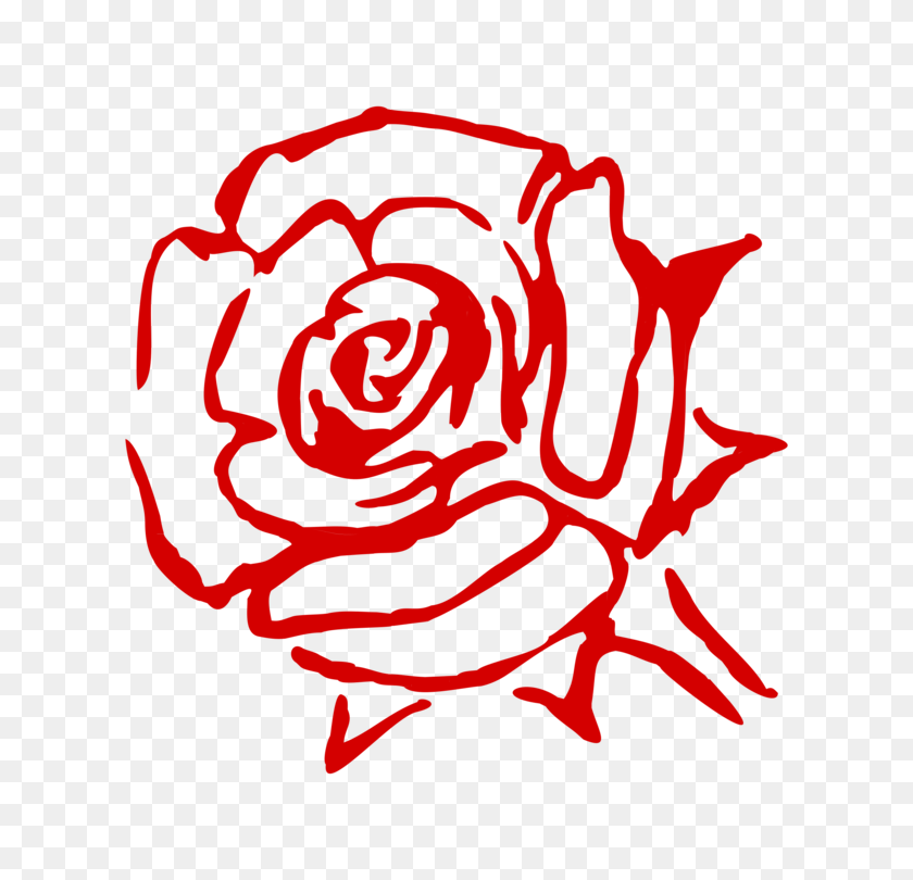 744x750 Rose Family Flower China Rose Garden Roses Cabbage Rose Free - Rosen Clipart