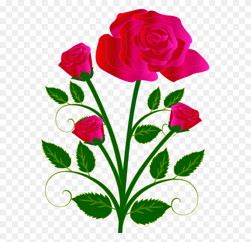563x749 Rose Flower Bouquet Drawing Red - Rose Bouquet Clipart