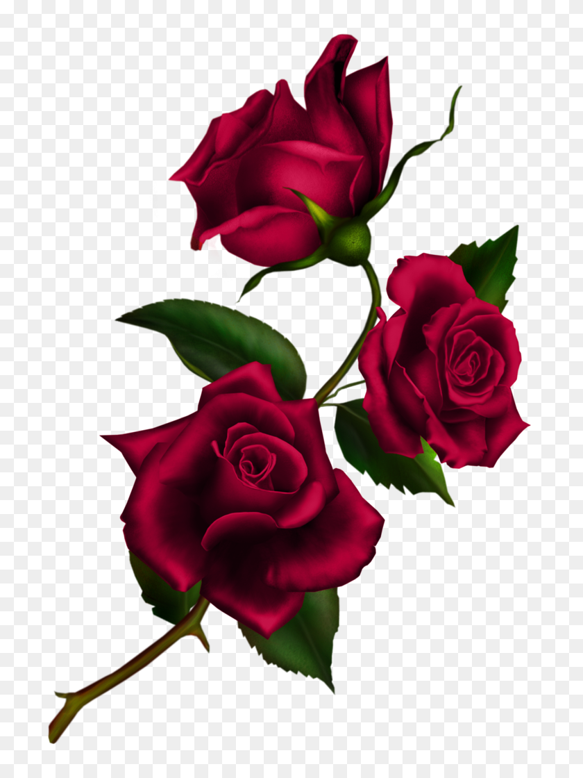 753x1060 Rose Flower Clip Art - Rose Clipart