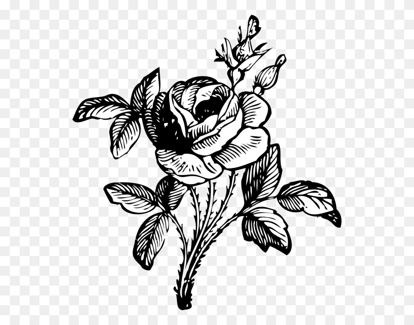 546x600 Rose Flower Clipart Black And White Nice Clip Art - Rose Flower Clipart