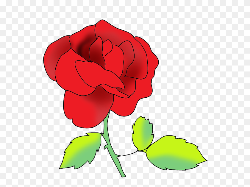 591x568 Rose Flower Drawing Png - Beauty And The Beast Clipart Rose