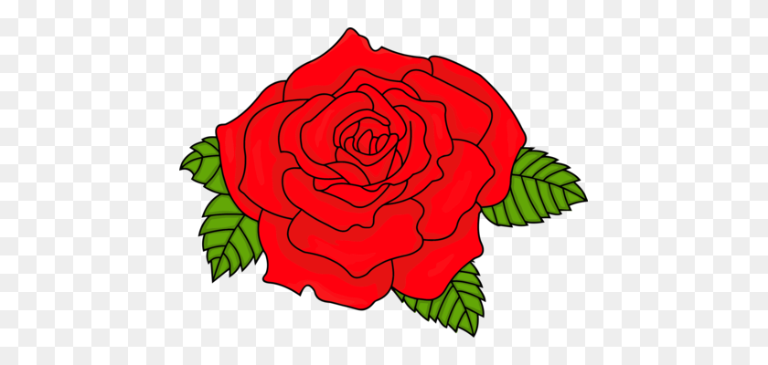 447x340 Роза Цветочный Дизайн Акварельная Живопись - Розен Клипарт