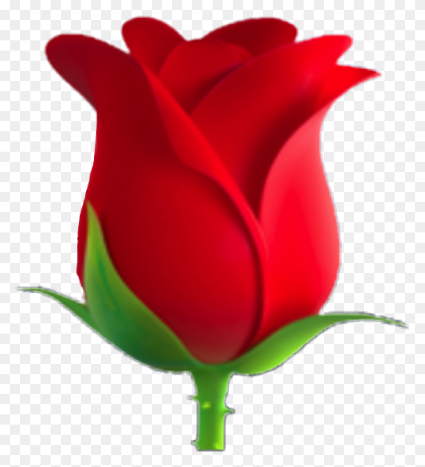 1326x1470 Rose Flower Redflower Emoji Emojis Green Lovely - Flower Emoji PNG