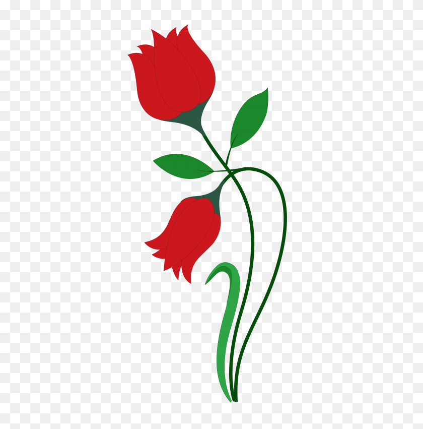 480x791 Роза Цветок Вектор Png - Роза Цветок Png