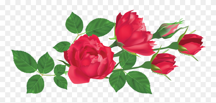 3000x1317 Rose Leaves Clipart Clip Art Images - Rose Outline PNG
