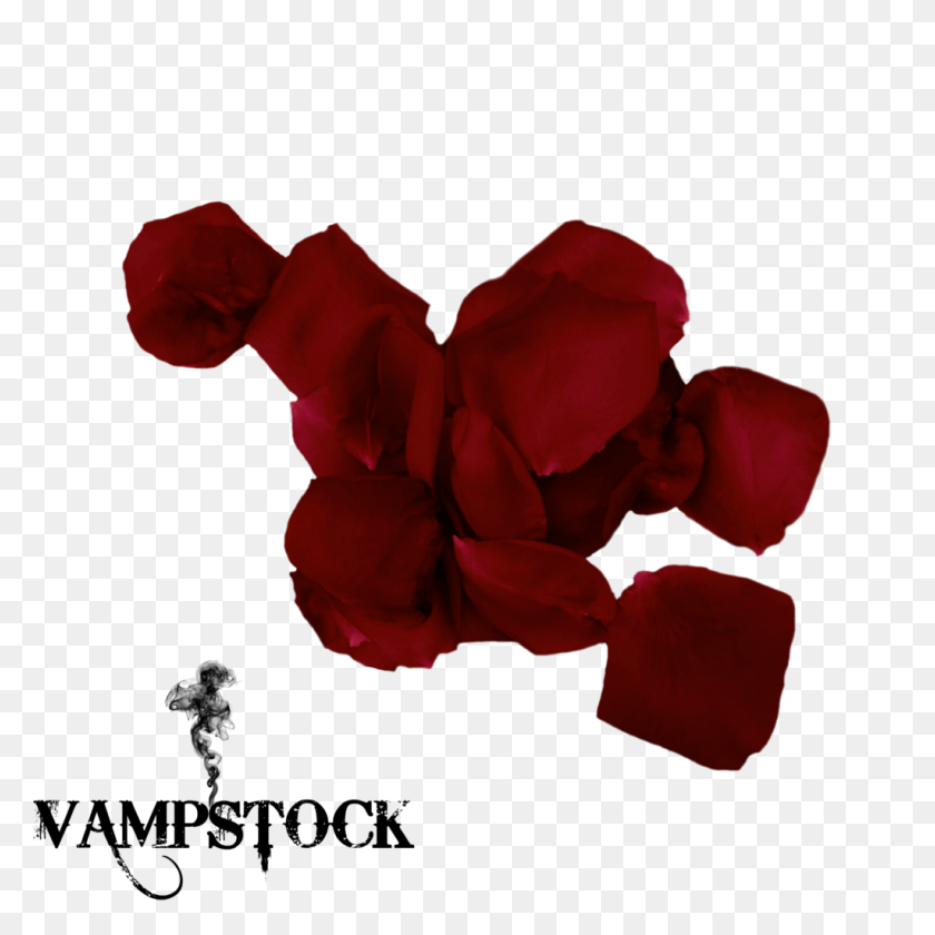 1024x1024 Rose Petal Png Vampstock - Petals PNG