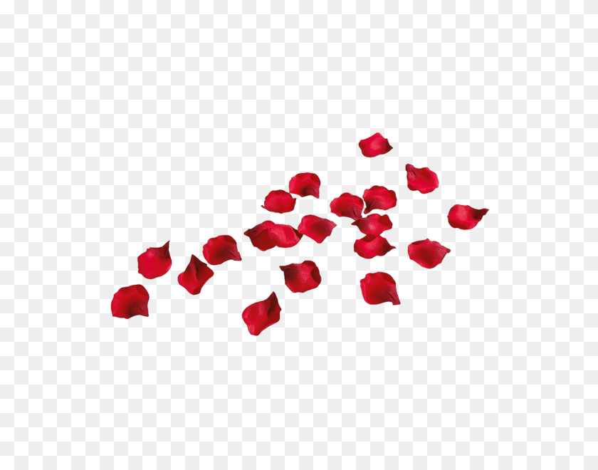 750x600 Rose Petals - Rose Petal PNG