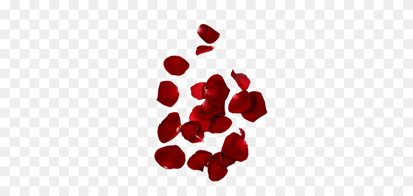 300x340 Rose Petals Png Images Hd Quality Free Download - Rose Flower PNG