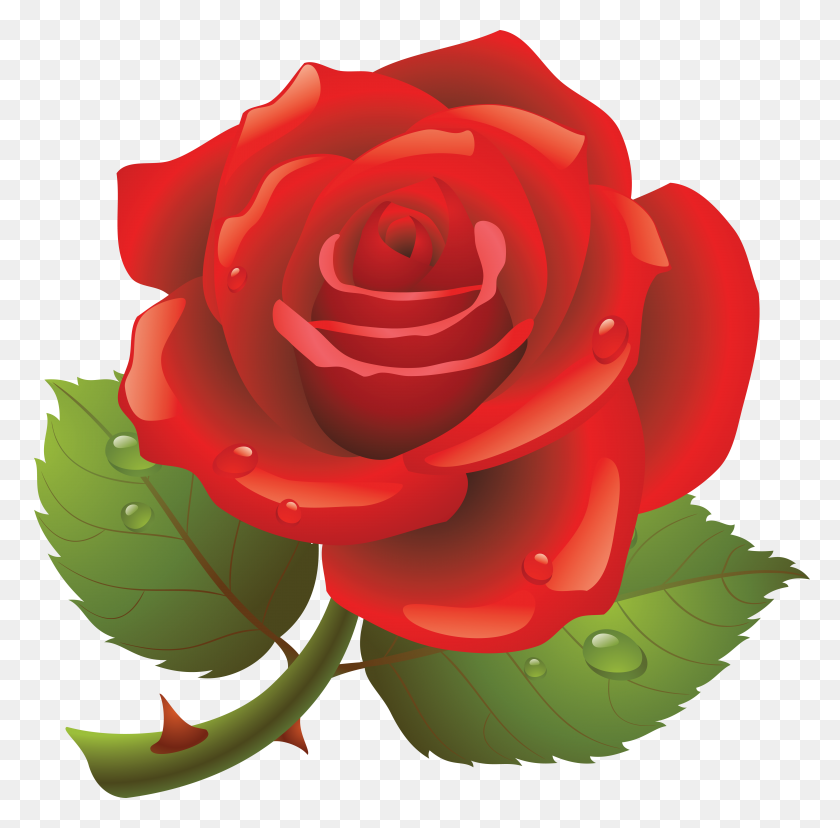 5293x5218 Rose Png - Rose Bush PNG