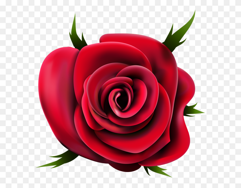 600x596 Rose Png Flower Images, Free Download - Red Rose PNG