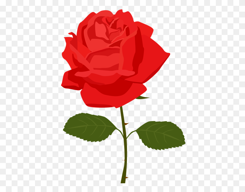 432x600 Rose Png Flower Images, Free Download - Rose Flower PNG