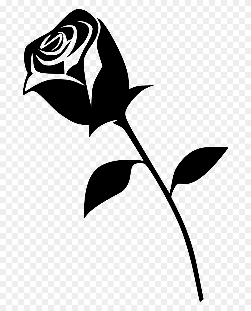 Rose Black And White Drawing Png, Rose Vector Png Free Download - Rose ...