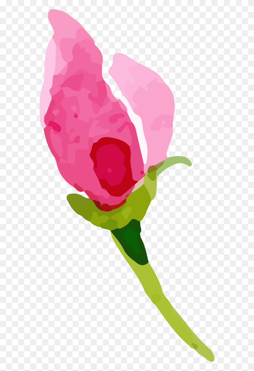 579x1165 Rose Png Images A Flower That Speaks Png Only - Rose PNG