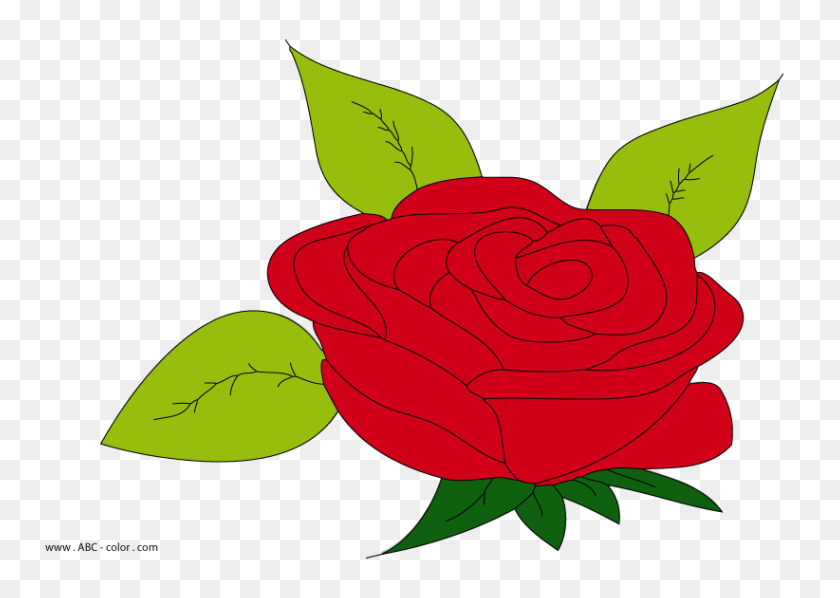 822x567 Rose Raster Painting - Rose Vector PNG
