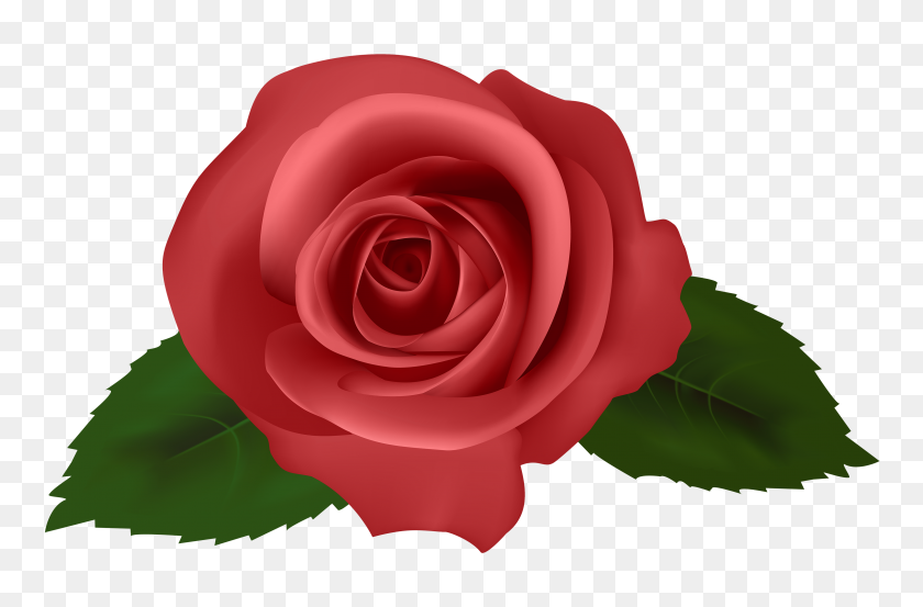 4000x2531 Rose Red Png Clipart - Rose Emoji PNG