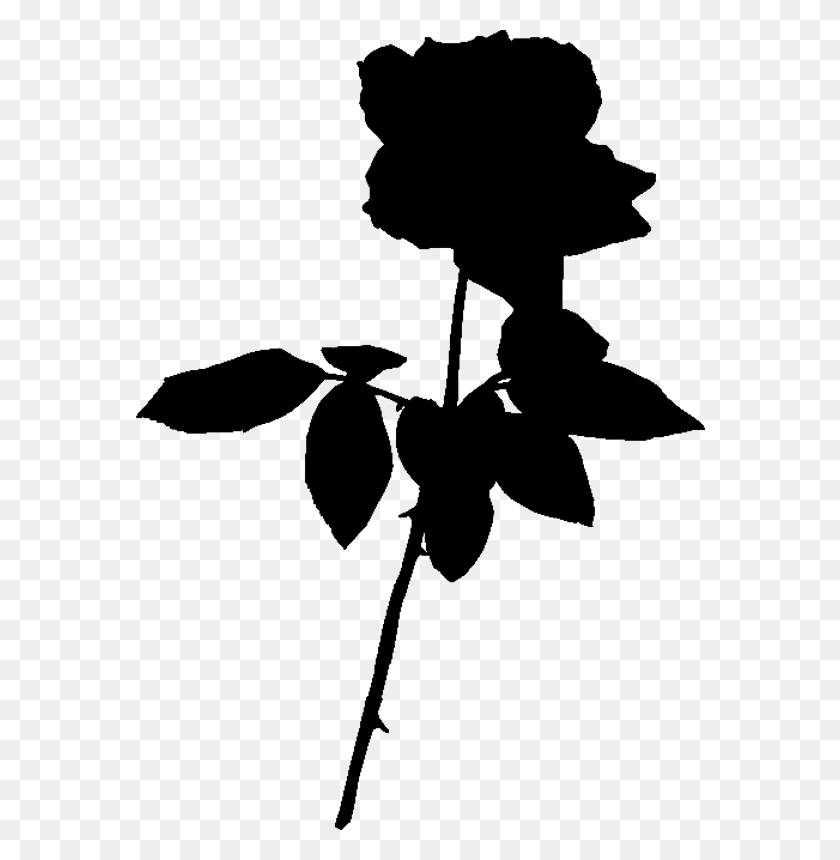 570x800 Rose Silhouette - Baymax Clipart