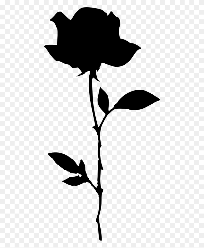 480x962 Rose Silhouette Png - White Rose Clip Art