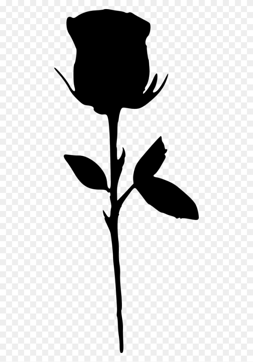 480x1141 Rose Silhouette Png - Flower Silhouette PNG