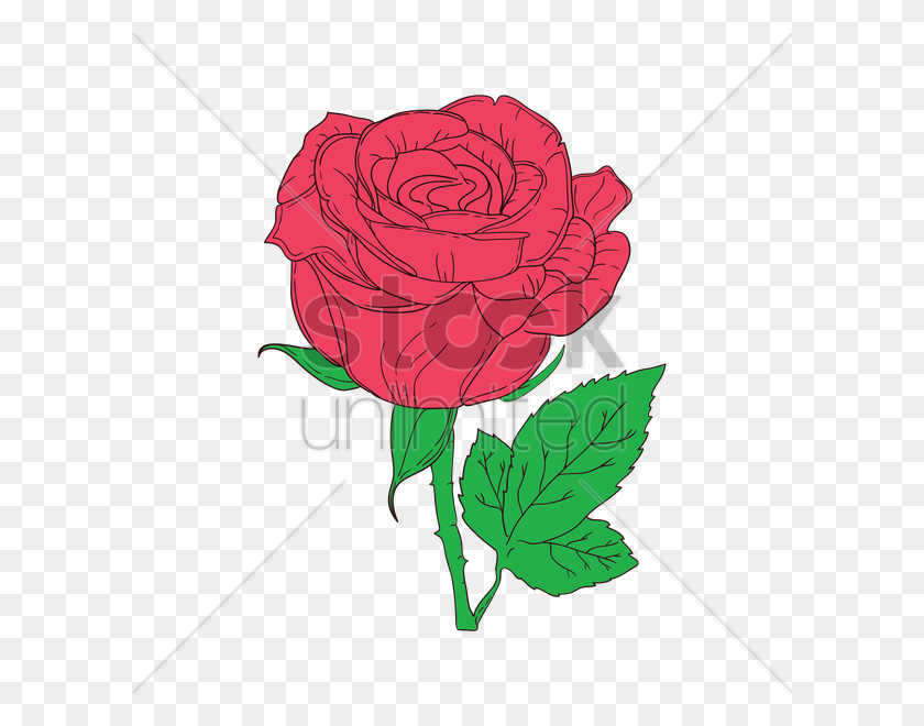 600x600 Rose Vector Image - Rose Vector PNG